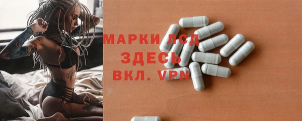 ГАЛЛЮЦИНОГЕННЫЕ ГРИБЫ Алзамай