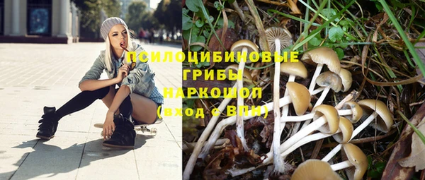 ГАЛЛЮЦИНОГЕННЫЕ ГРИБЫ Алзамай