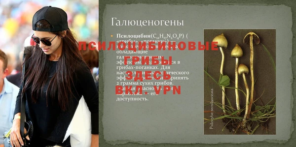 ГАЛЛЮЦИНОГЕННЫЕ ГРИБЫ Алзамай